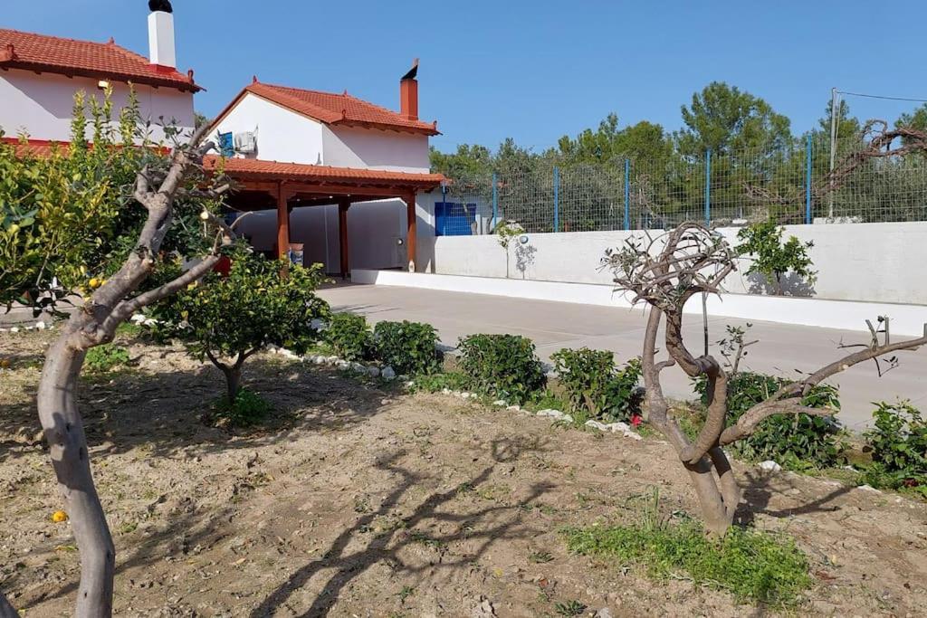 Aleyna House Lindos Area Villa Ngoại thất bức ảnh